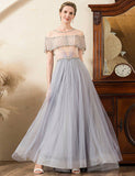 Robe de la mère de mariée en tulle gris, ligne A, perlée et pailletée