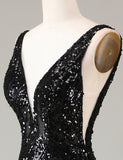 Robe formelle longue sirène à paillettes noires et plumes